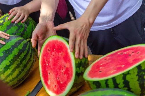 吃瓜免费网红,揭秘吃瓜免费网红的崛起之路 第2张 吃瓜免费网红,揭秘吃瓜免费网红的崛起之路 第2张