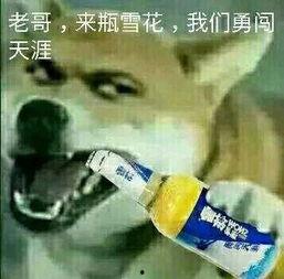 大哥爆料啤酒制作视频大全,大哥爆料视频大全全解析 第1张 大哥爆料啤酒制作视频大全,大哥爆料视频大全全解析 第1张